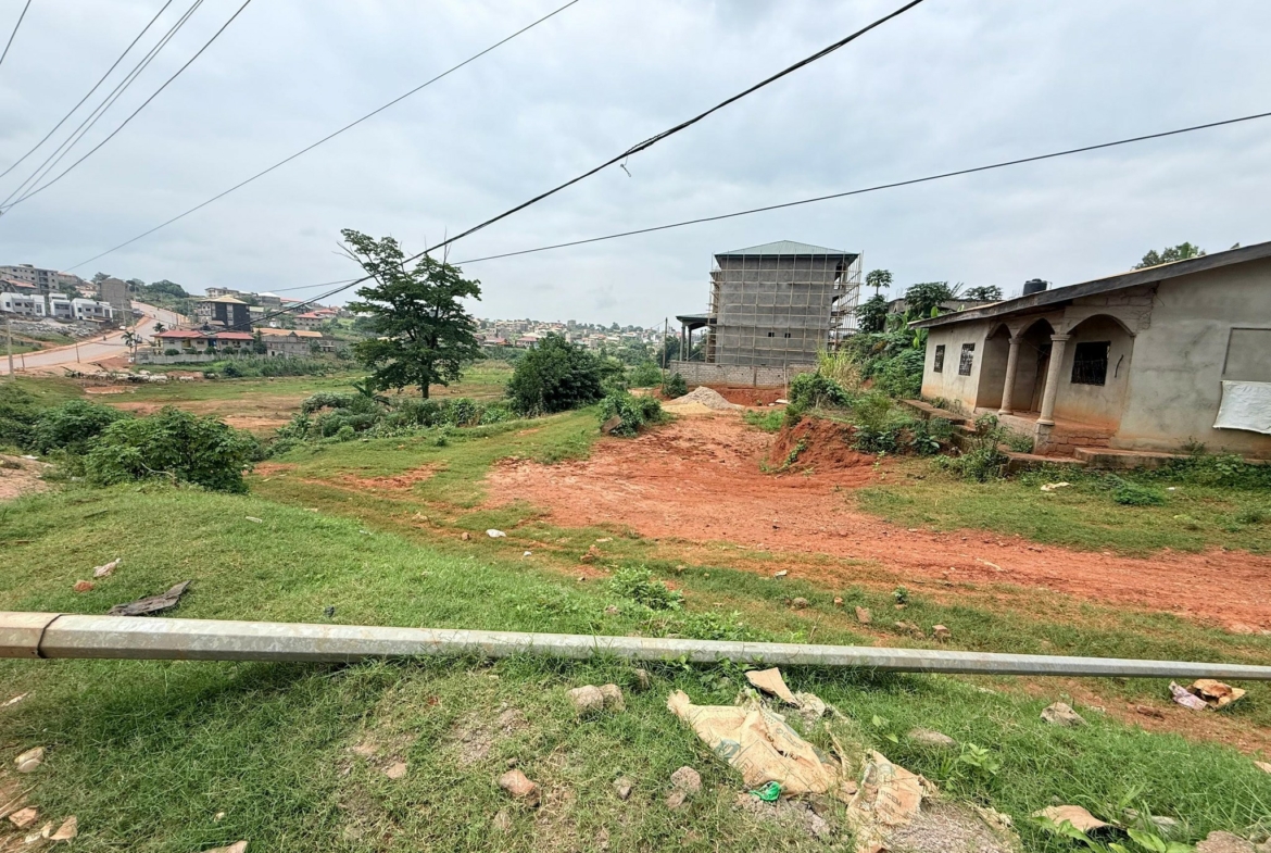 TERRAIN COMMERCIAL YAOUNDE TSINGA VILLAGE
