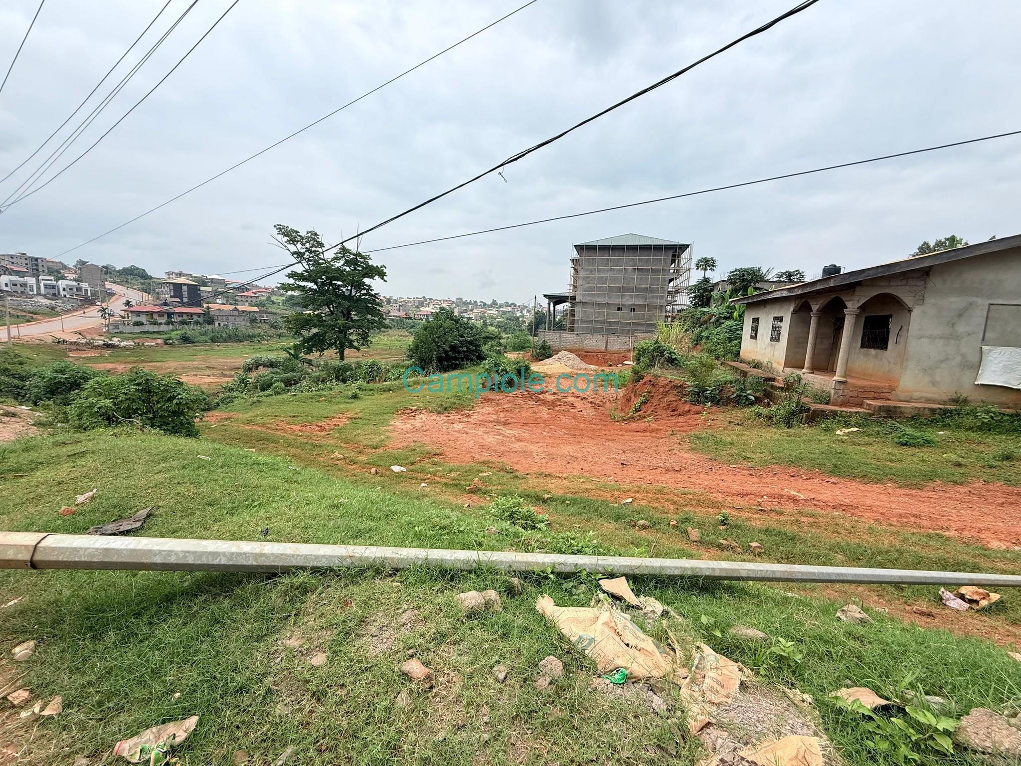 TERRAIN COMMERCIAL YAOUNDE TSINGA VILLAGE