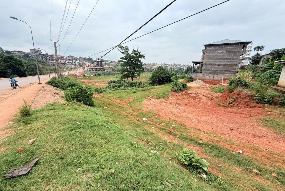 TERRAIN COMMERCIAL YAOUNDE TSINGA VILLAGE