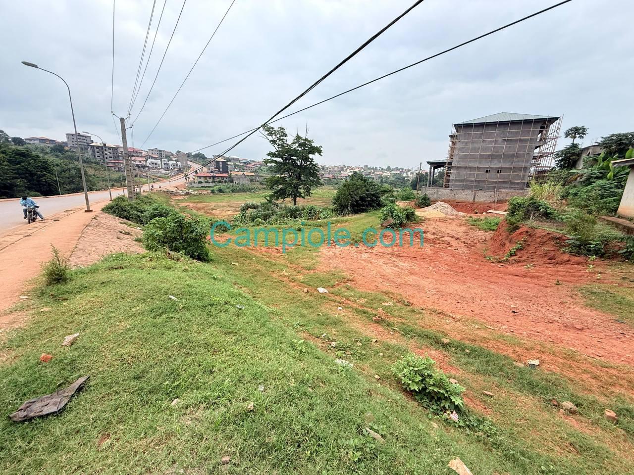 TERRAIN COMMERCIAL YAOUNDE TSINGA VILLAGE