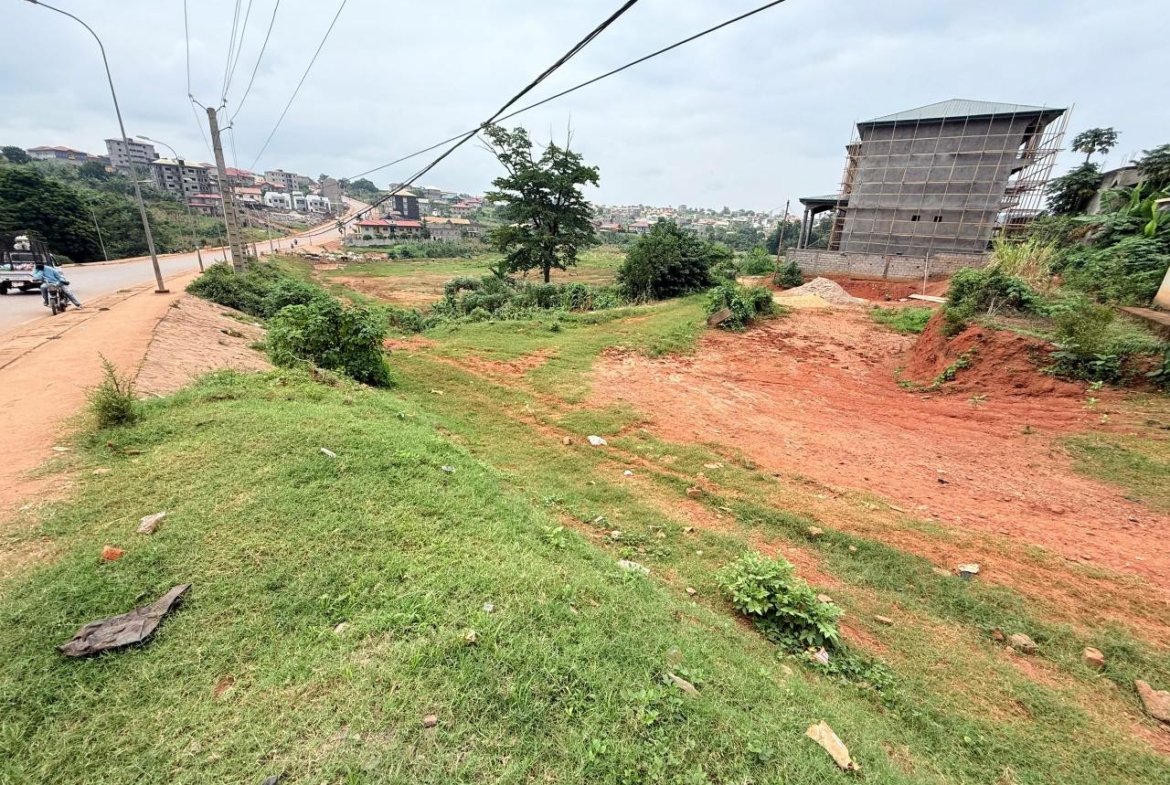 TERRAIN COMMERCIAL YAOUNDE TSINGA VILLAGE