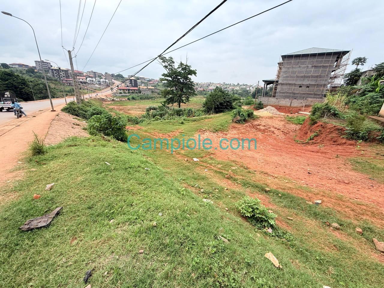 TERRAIN COMMERCIAL YAOUNDE TSINGA VILLAGE