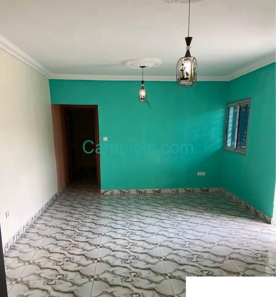 40772- Studio moderne à louer à Bertoua camp sic