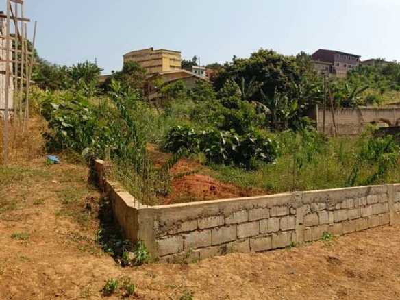 TERRAIN TITRÉ À VENDRE, YAOUNDÉ, NGOUSSO PHARMACIE BLEU