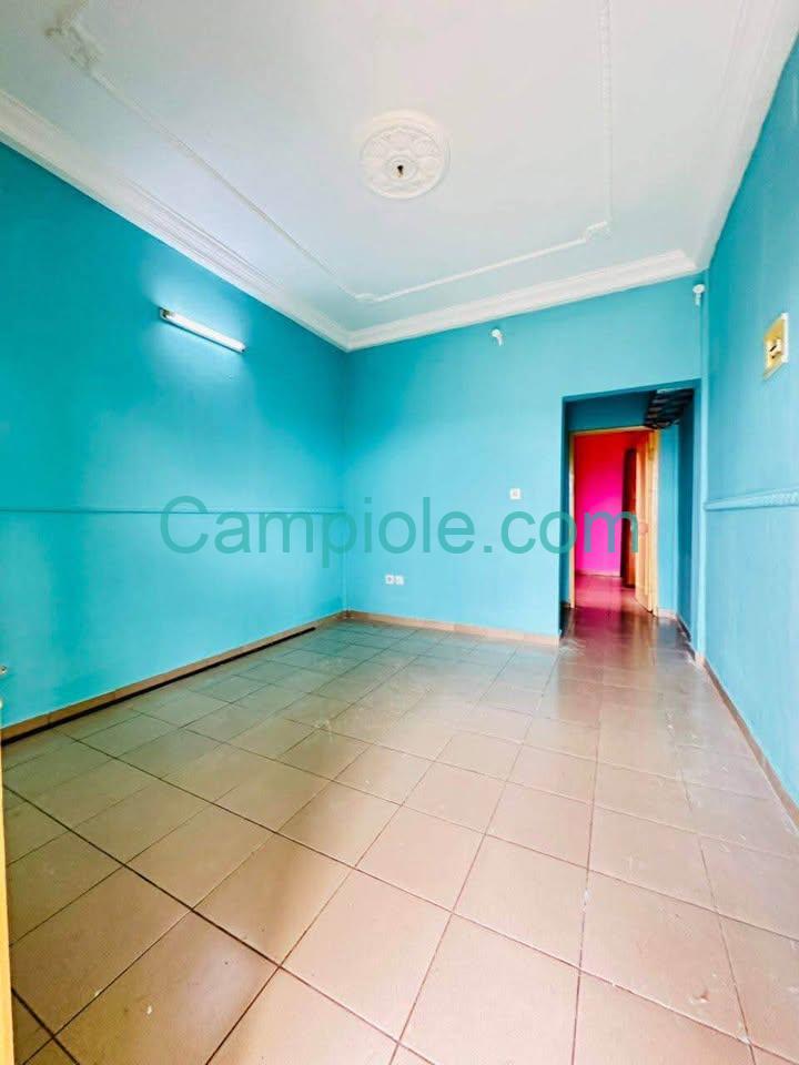 42272- Studio moderne à louer à Nsam Escale(Obam Ongola)