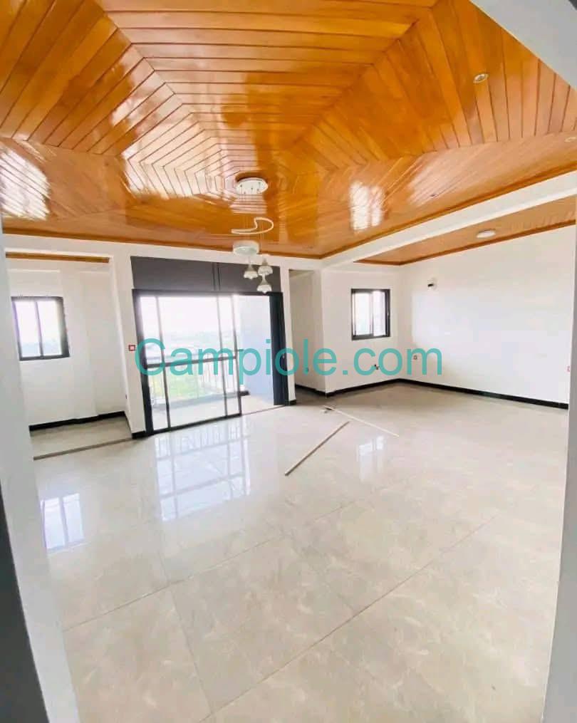 38401- Magnifique Appartement Moderne, Douala Bonamoussadi