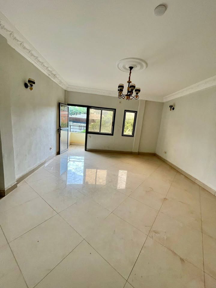 41285- APPARTEMENT HAUT STANDING À LOUER, YAOUNDÉ BASTOS