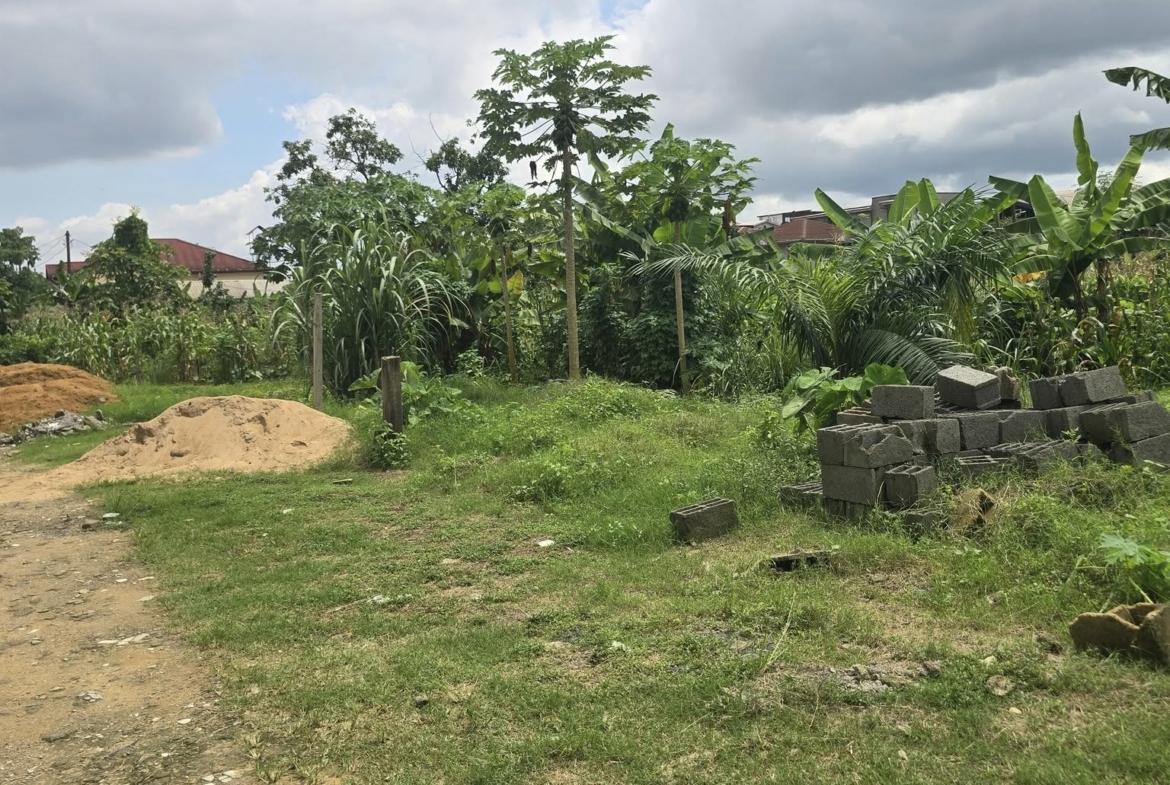 Terrain titré à vendre à Logbessou superficie 357m²