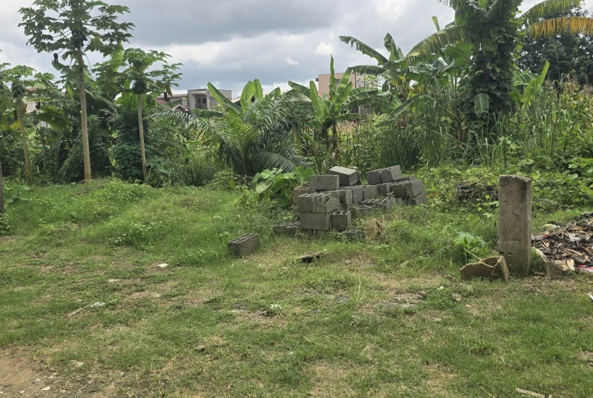 Terrain titré à vendre à Logbessou superficie 357m²