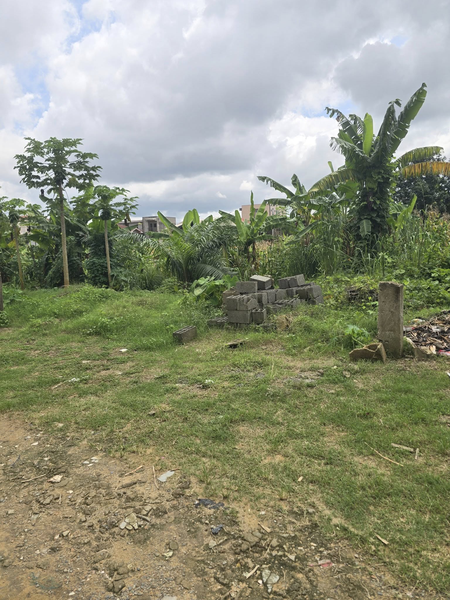 Terrain titré à vendre à Logbessou superficie 357m²