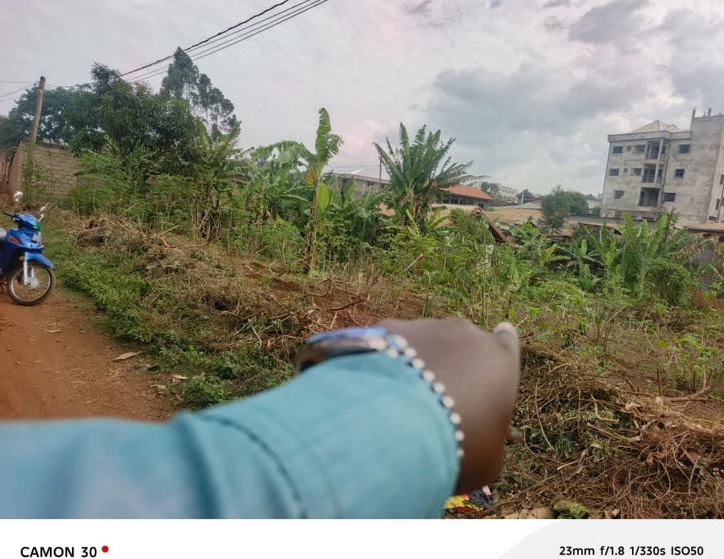 Terrain Titré 800m² à Vendre Quartier Haoussa, Bafoussam