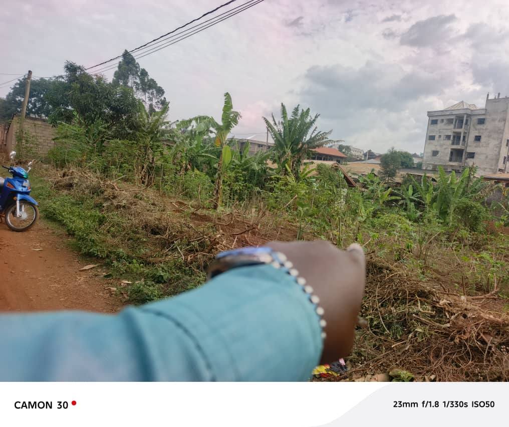 Terrain Titré 800m² à Vendre Quartier Haoussa, Bafoussam