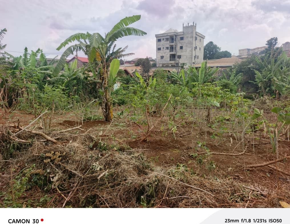 Terrain Titré 800m² à Vendre Quartier Haoussa, Bafoussam