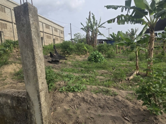 Terrain titré au carrefour Matango, Douala Japoma