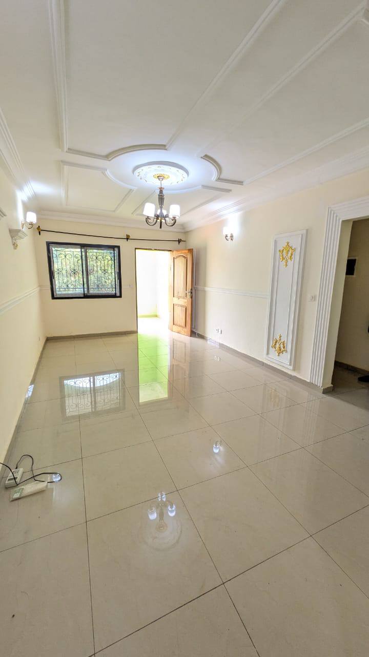 41832- MAGNIFIQUE APPARTEMENT À LOUER, YAOUNDÉ EMANA