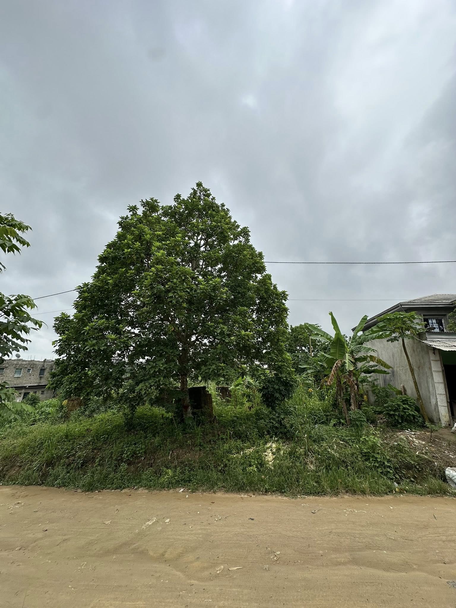 Terrain titré de 600m2 à vendre à Bwang-Bakoko, Yassa Douala