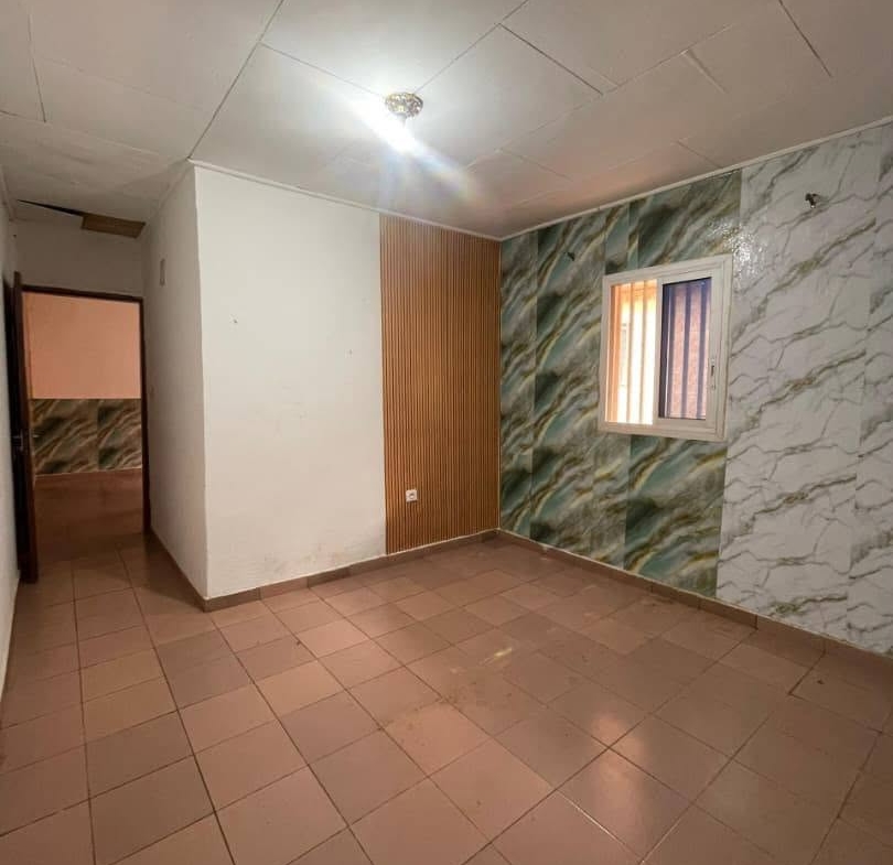 STUDIO SPACIEUX À LOUER, TRADEX ÉLEVEUR
