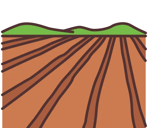 Terrain