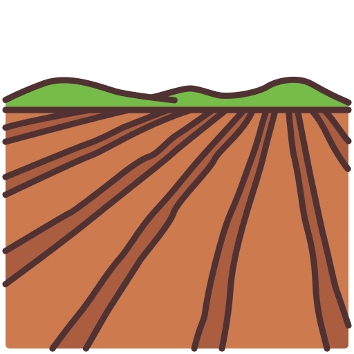 Terrain