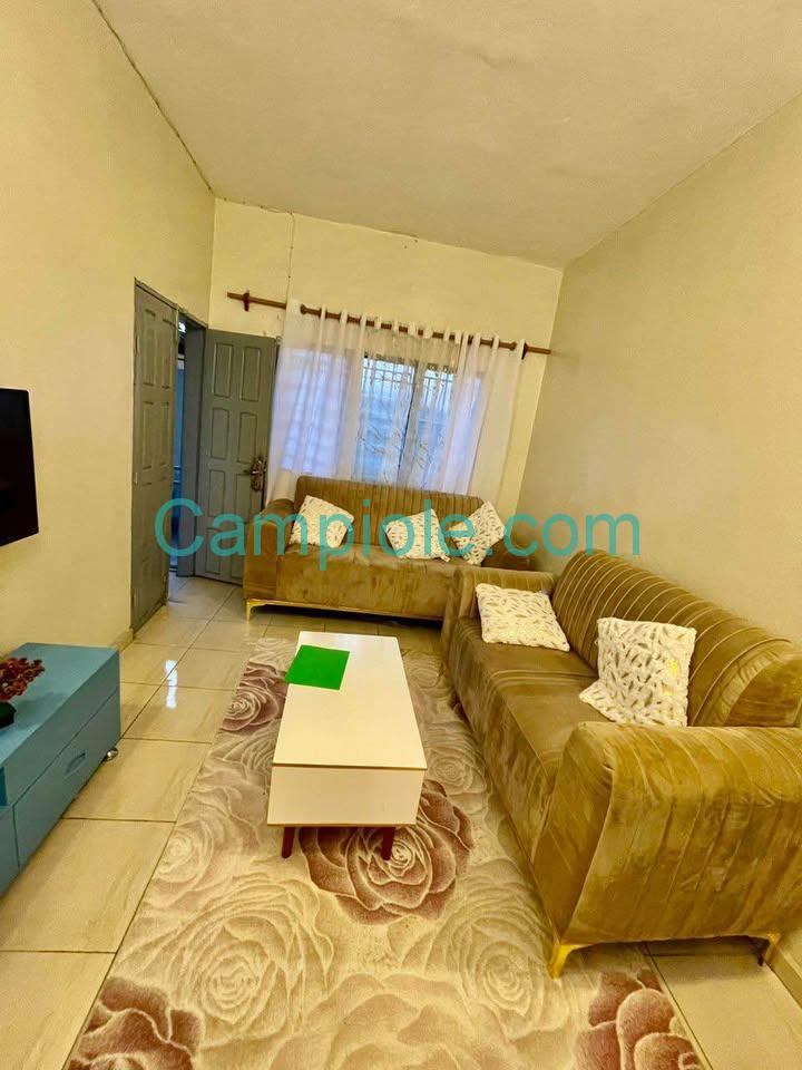 appart_meuble_college_vogt_g