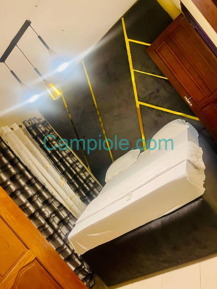 appartement_meublé Bonamoussadi_e