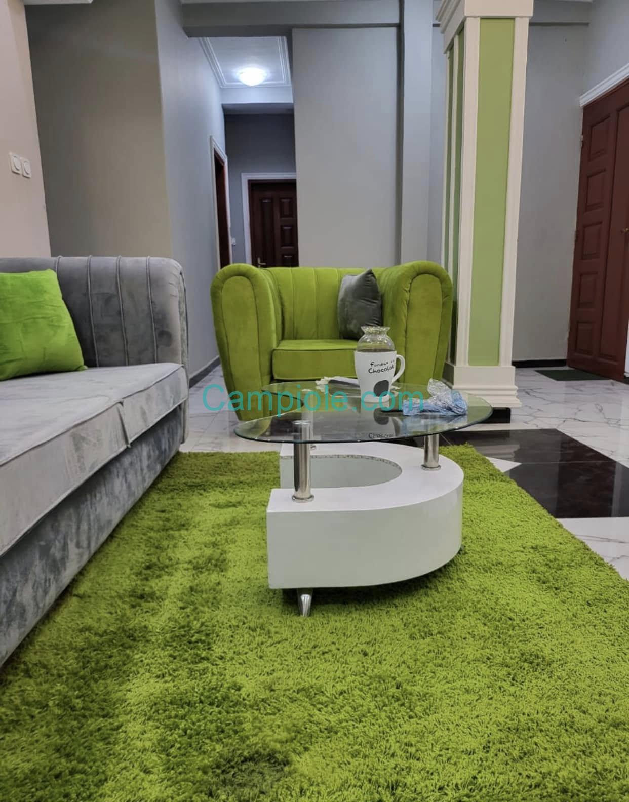 appartement_meuble_obili_a