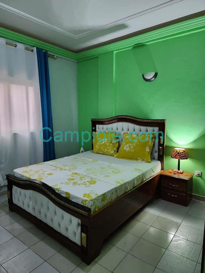 appartement_meuble_obili_f