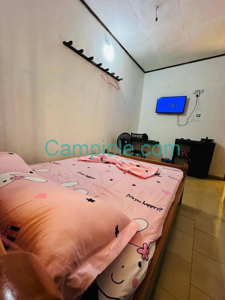 chambre_meublee_damas_a