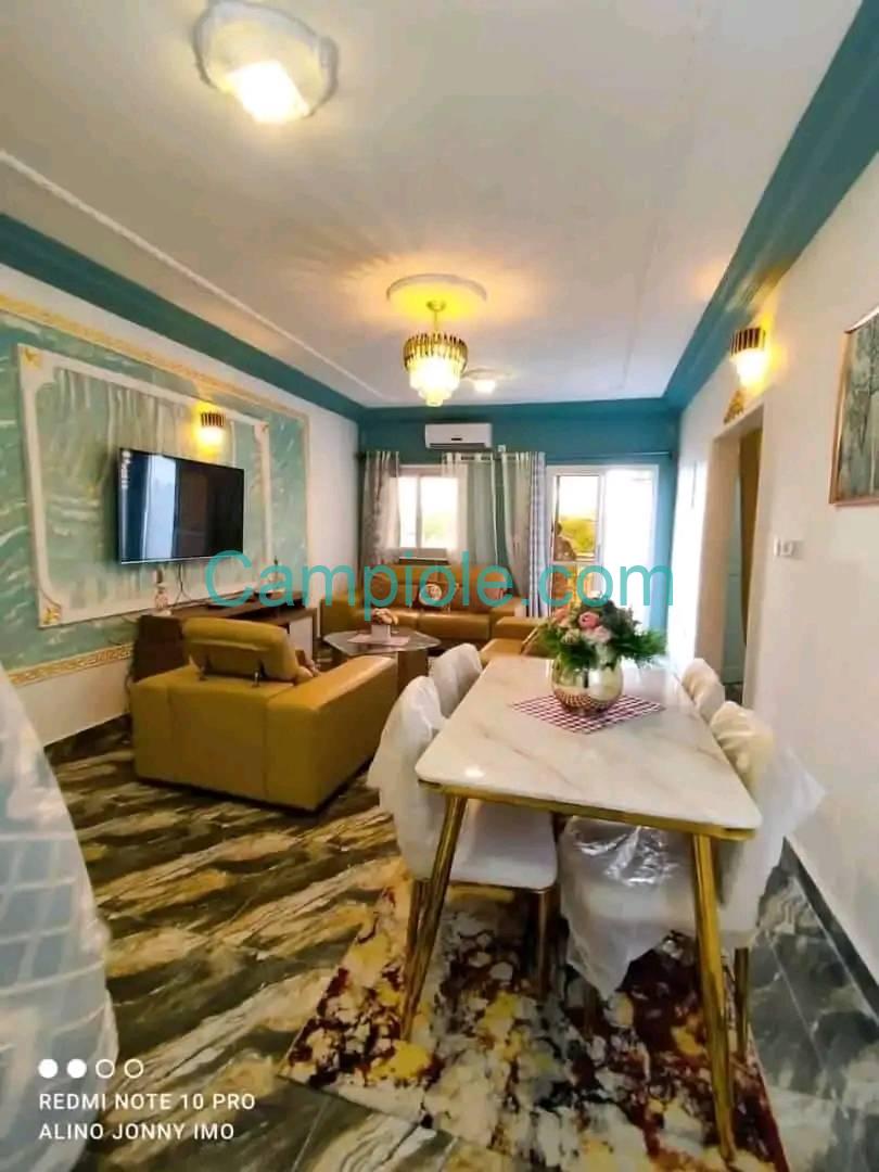 appartement_meuble_kotto_e