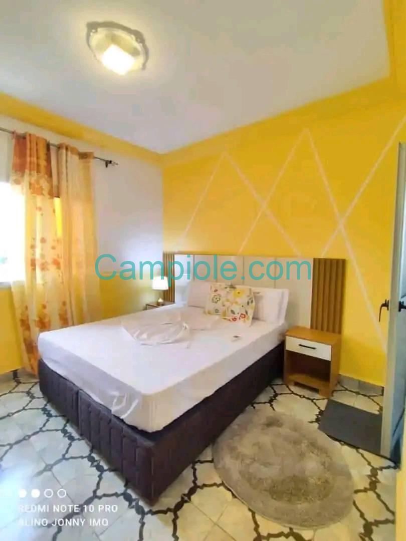 appartement_meuble_kotto_f