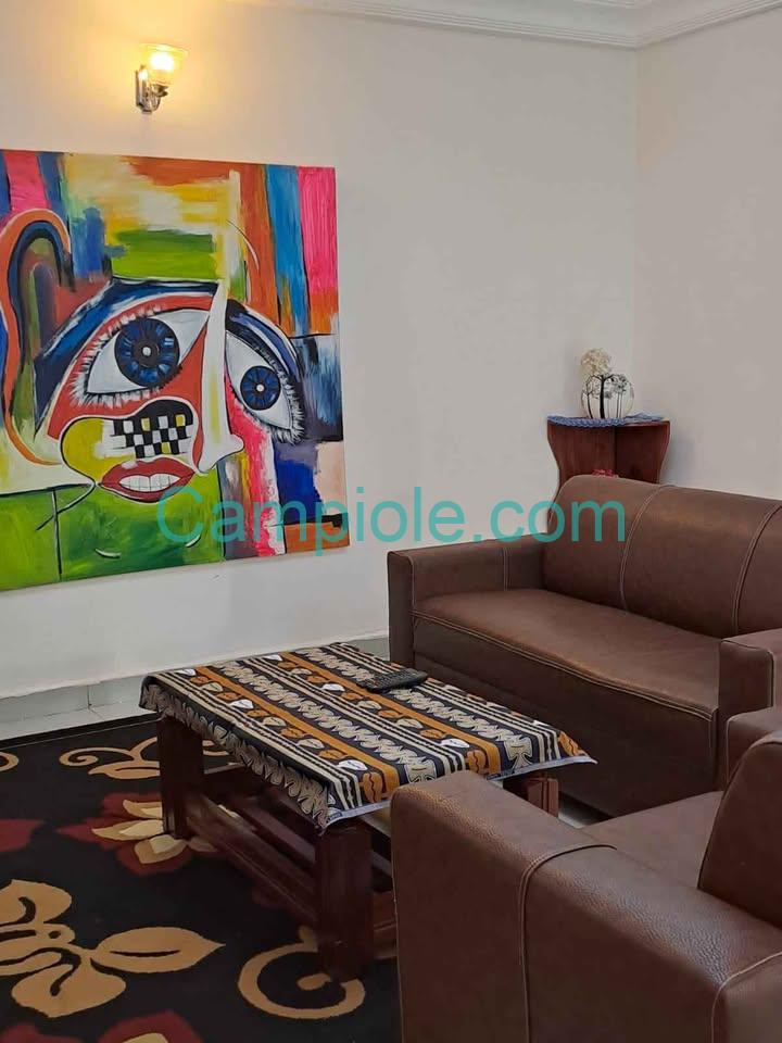 appartement_meublé_odza_b