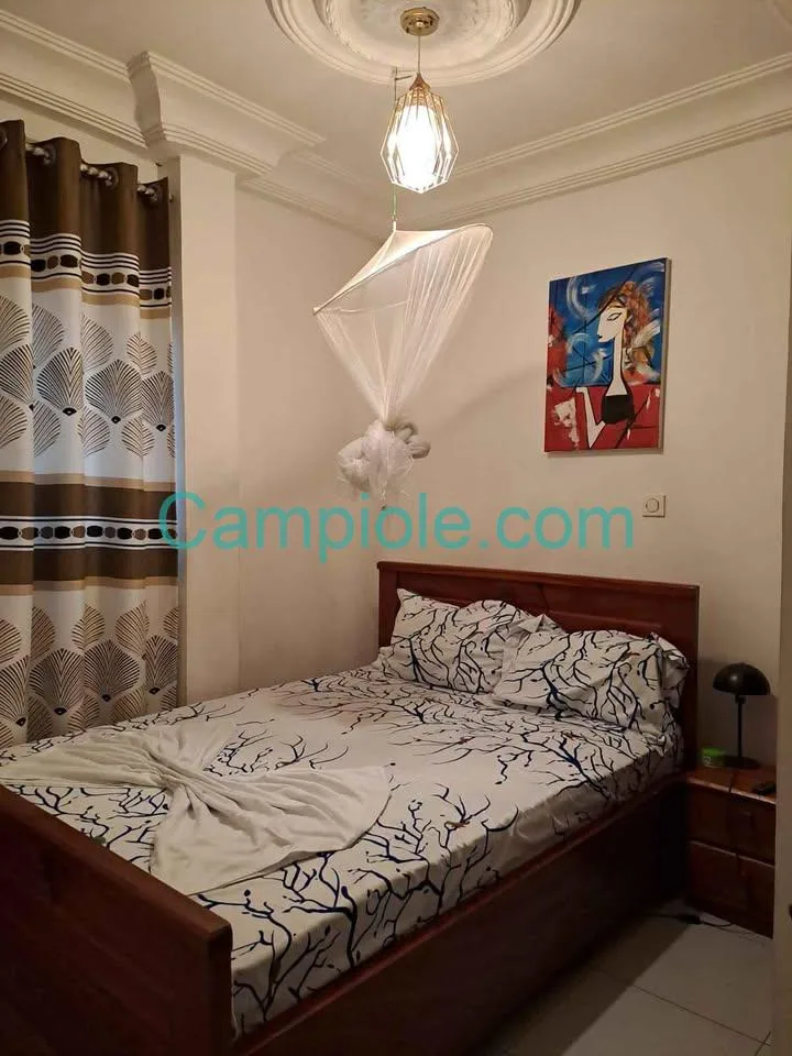 Superbe appartement meublé Yaoundé Odza Brigade