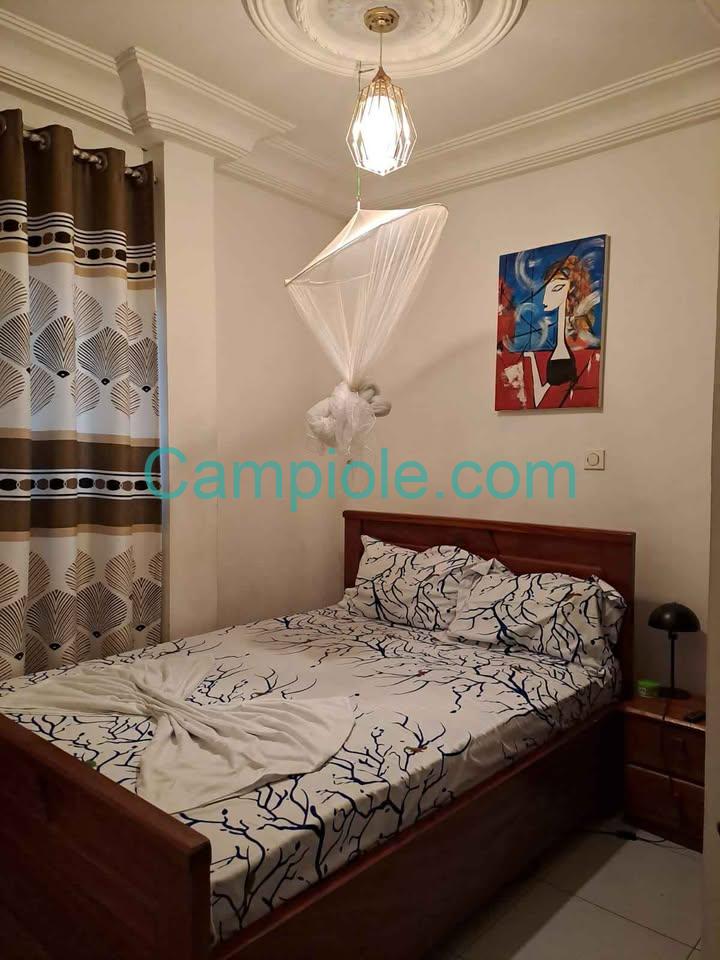 appartement_meublé_odza_d