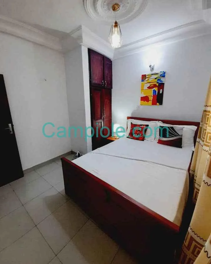 Superbe appartement meublé Yaoundé Odza Brigade