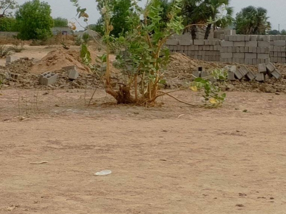 terrain a vendre garoua a