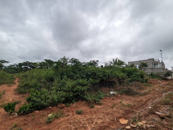 PBI terrain yaounde nsimalen 004 1