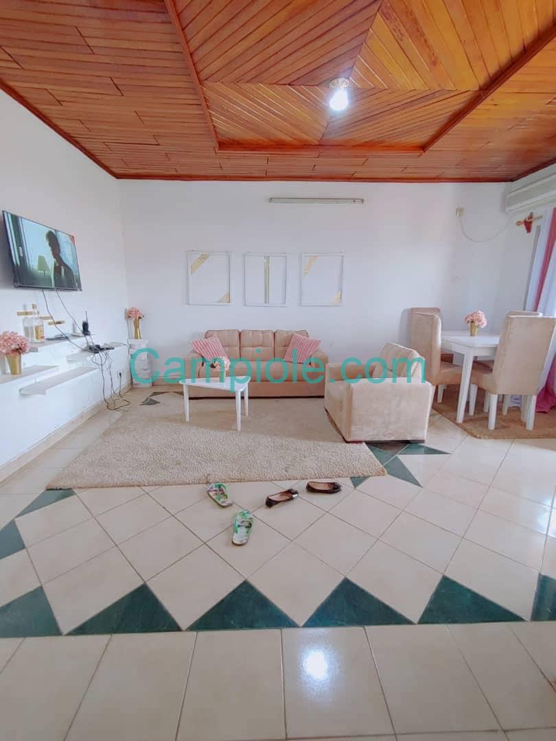 appartement_meuble_melen_salon1