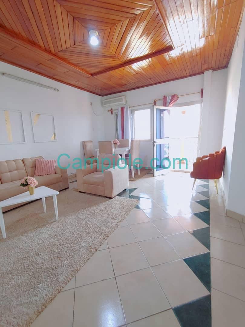 appartement_meuble_melen_salon2