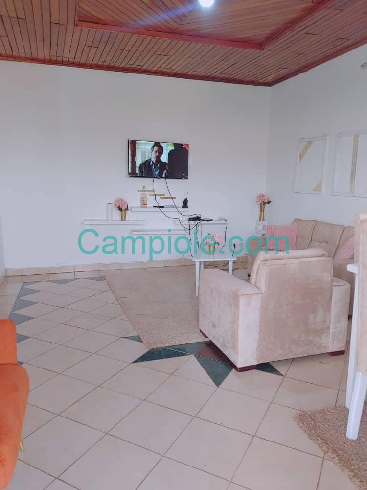 appartement_meuble_melen_salon3