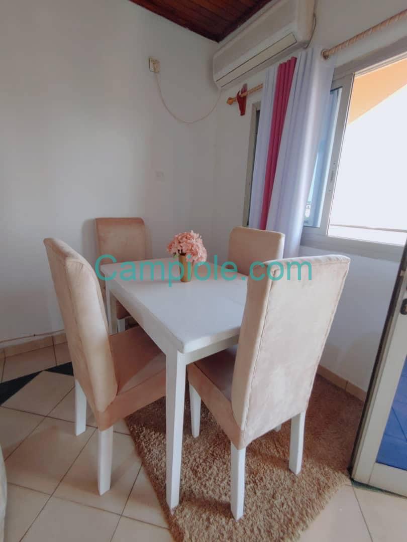 appartement_meuble_melen_salon4