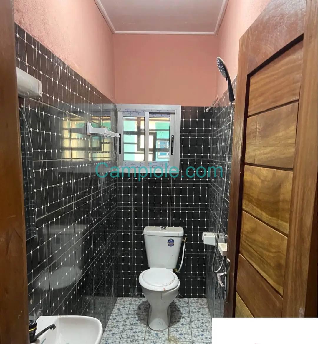 AIB_studio_bertoua_270825_dch