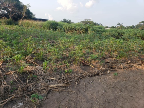 TERRAIN À VENDRE, MOKOLO4, BERTOUA