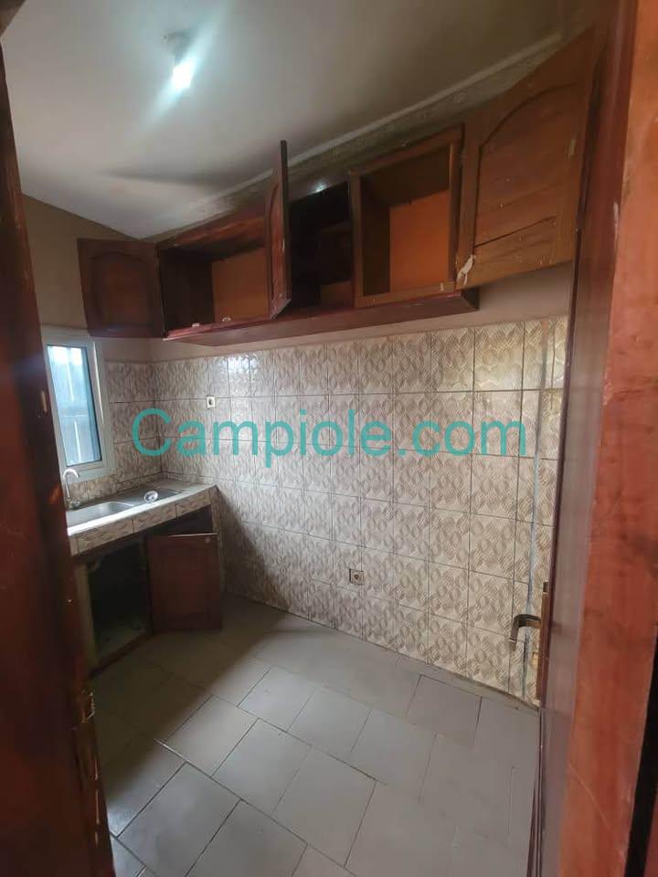 ASN_studio_ngousso_yde_120825_csn