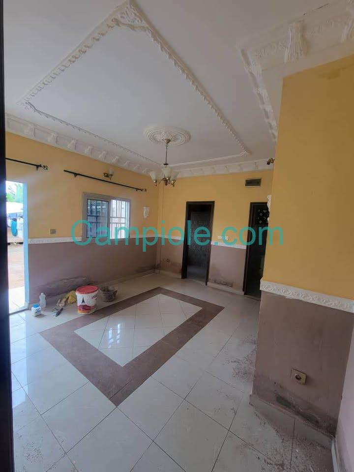 ASN_studio_ngousso_yde_120825_sln1