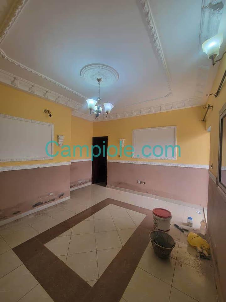 ASN_studio_ngousso_yde_120825_sln2