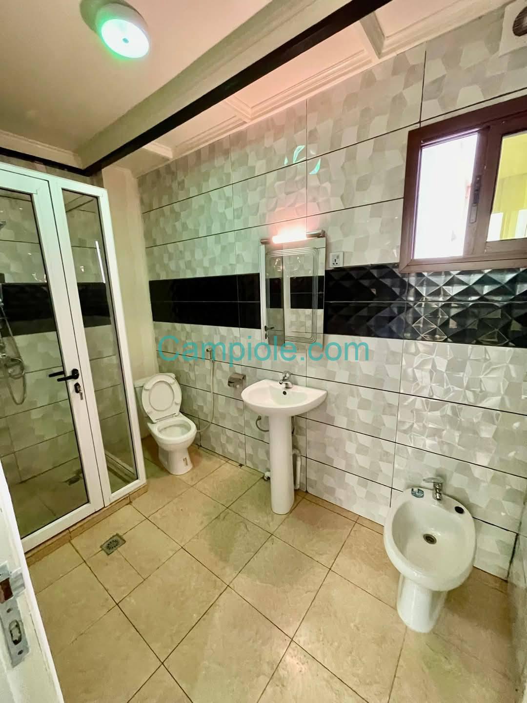 DZ_appartement_nsam_yde_120825_dch2