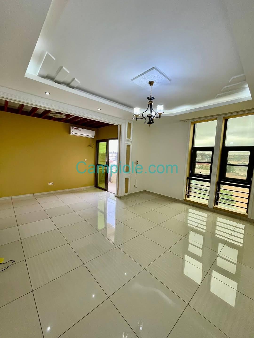 DZ_appartement_nsam_yde_120825_sln2