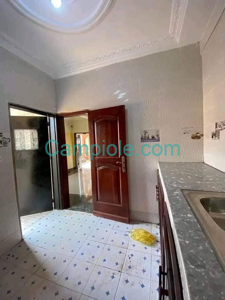 DZ_appartement_obobogo_yde_050825_csn2
