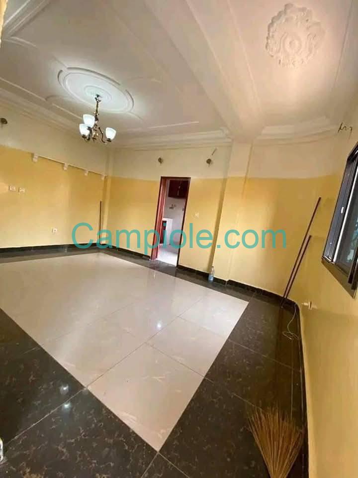 DZ_appartement_obobogo_yde_050825_sln2