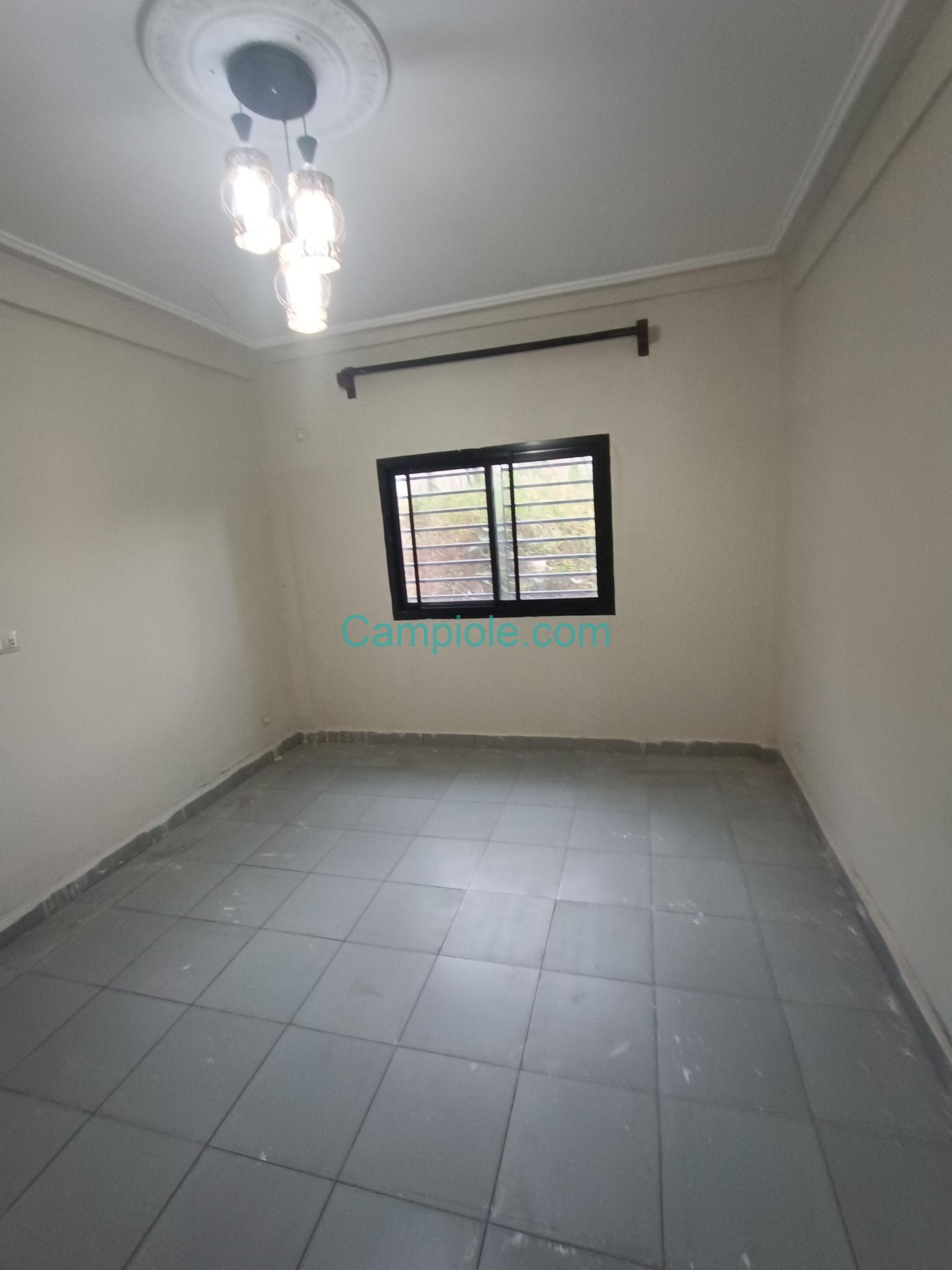 DZ_studio_nsimeyong_yde_280825_chb1